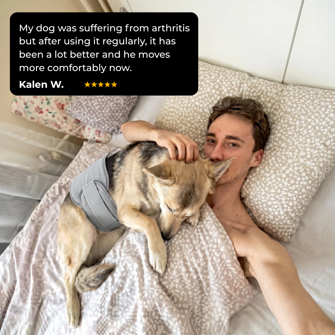 PetRelief™ Therapy Pad