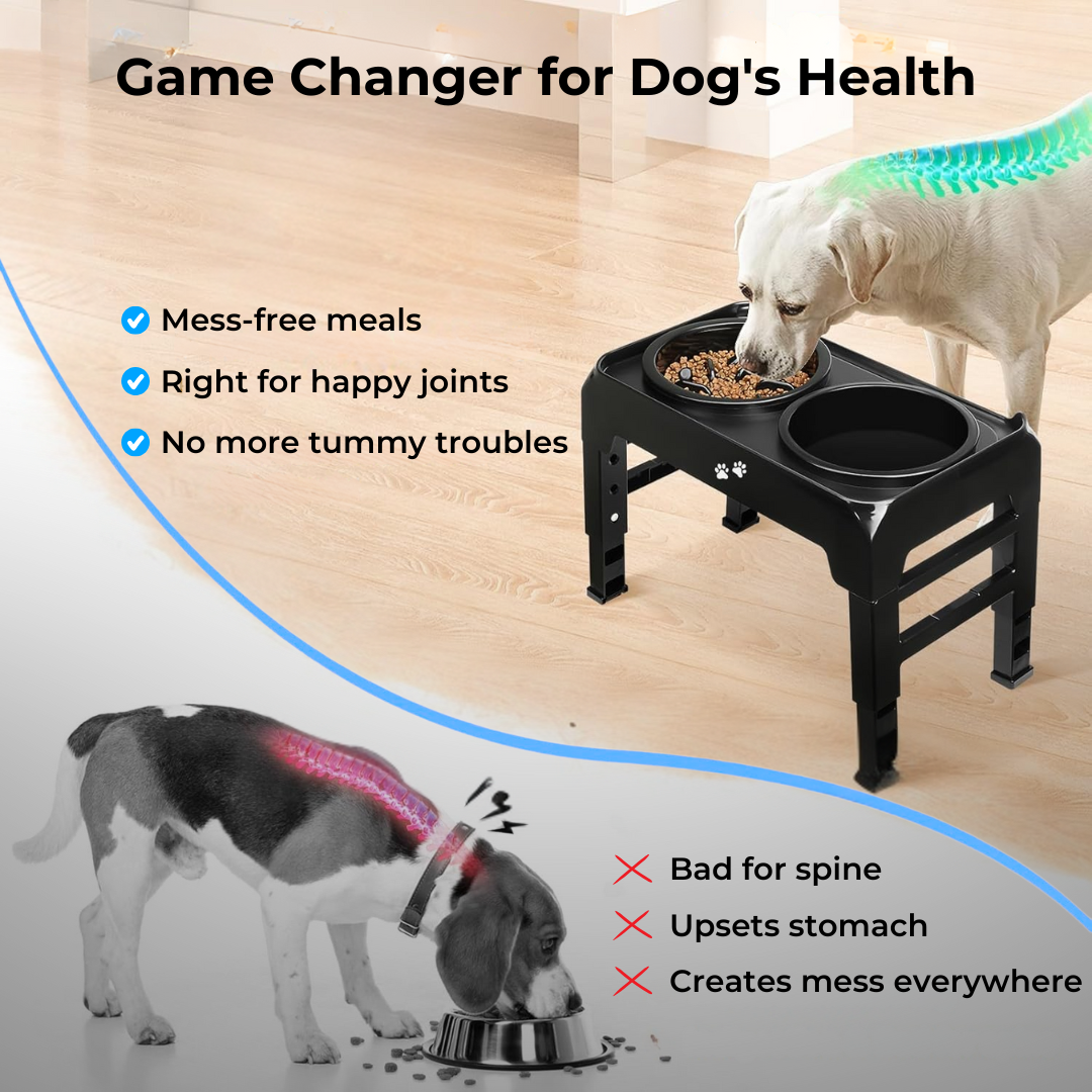 PetLift 3-in-1 Feeder