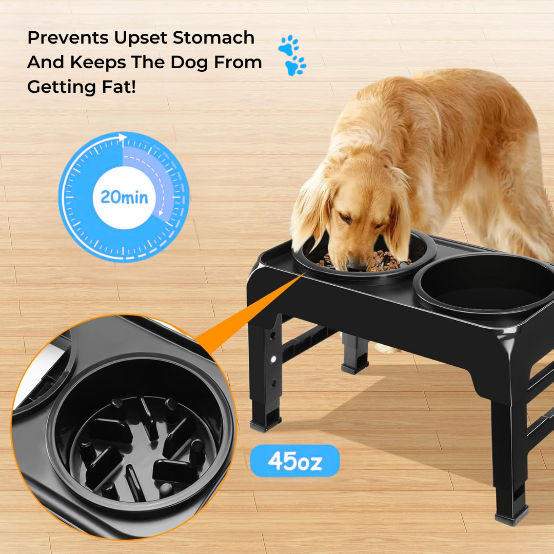 PetLift 3-in-1 Feeder