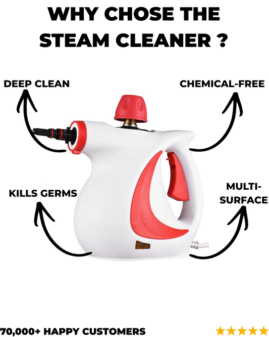 Steam Cleaner