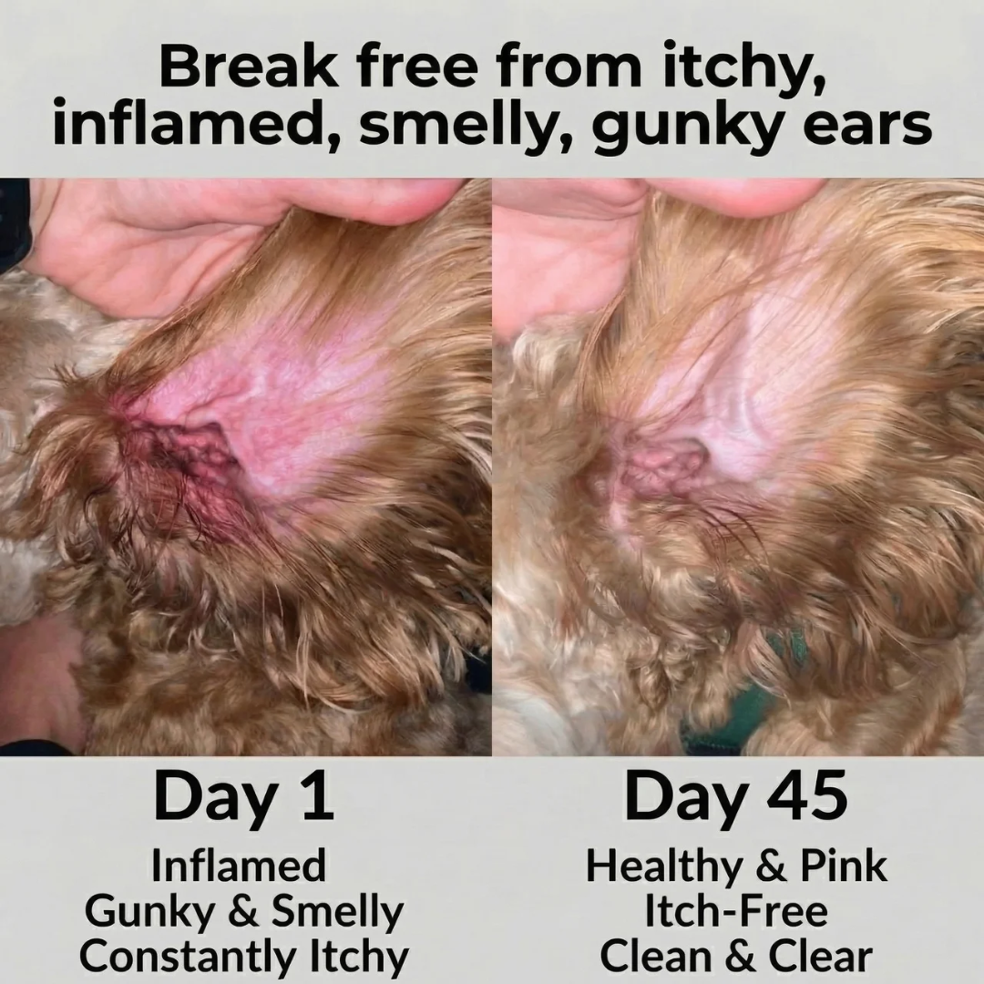 Dog Ear Drops