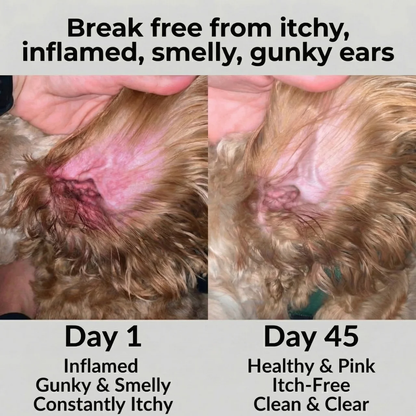 Dog Ear Drops