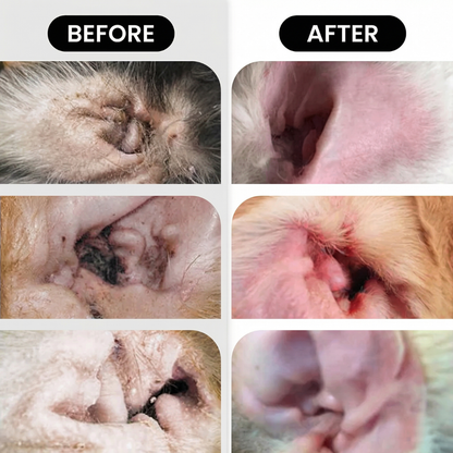 Dog Ear Drops