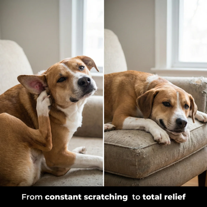 Dog Ear Drops