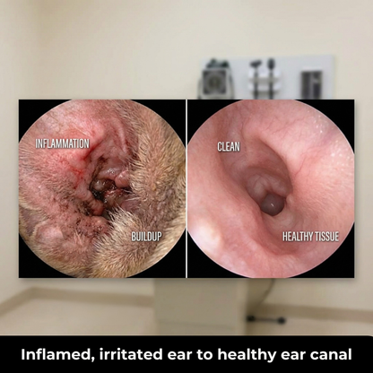 Dog Ear Drops