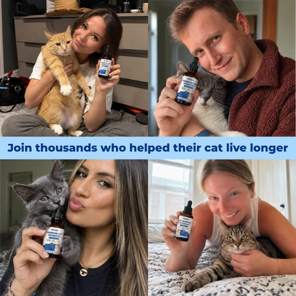 Kriath -Cat Probiotic Drops