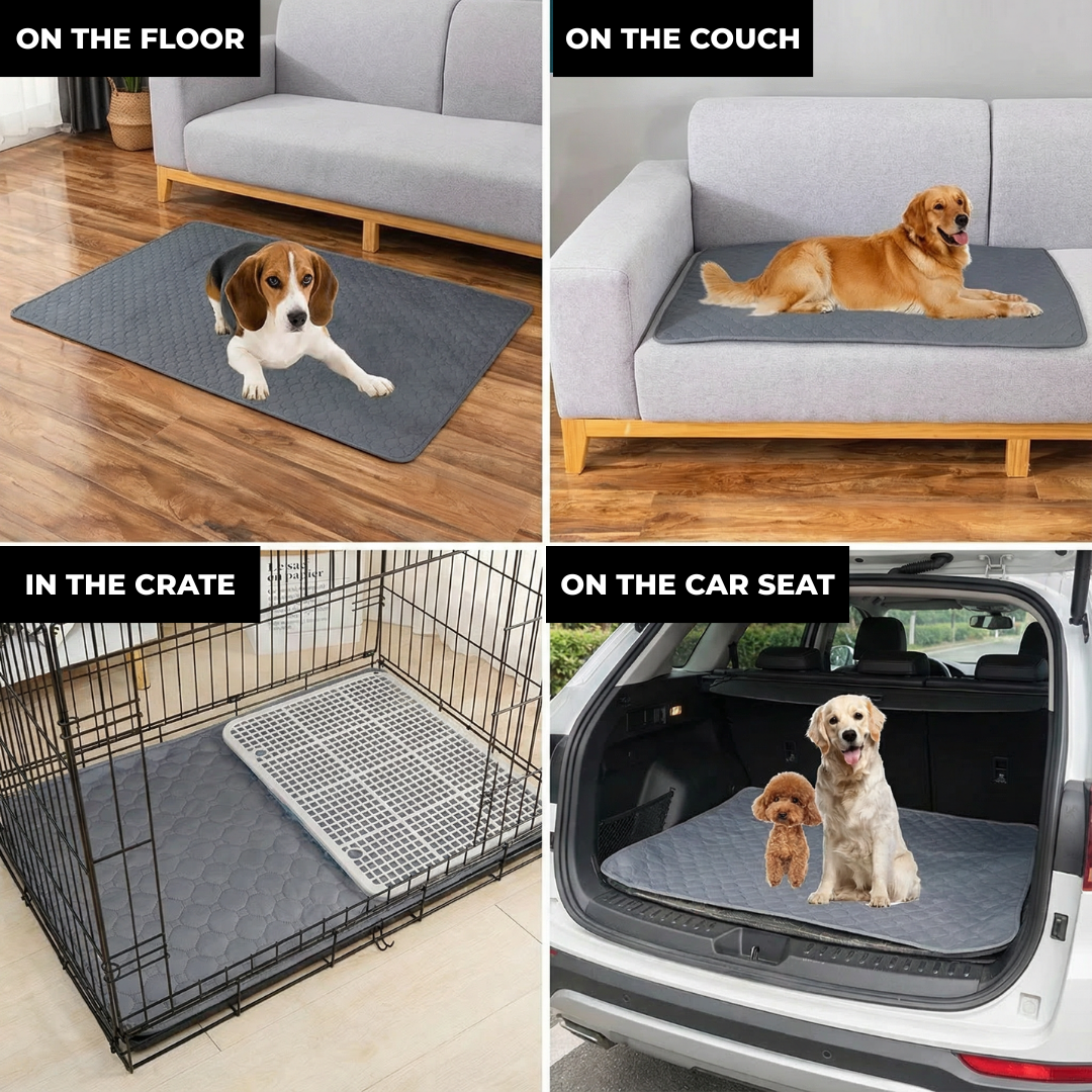 Dog Pee Pad