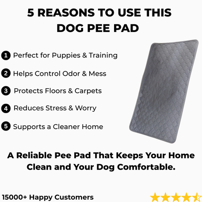 Dog Pee Pad