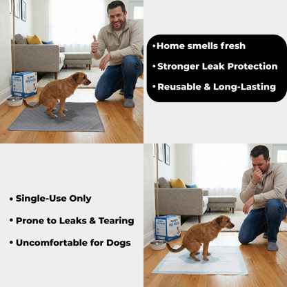 Dog Pee Pad
