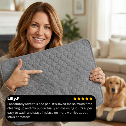 Dog Pee Pad