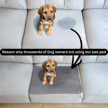 Dog Pee Pad
