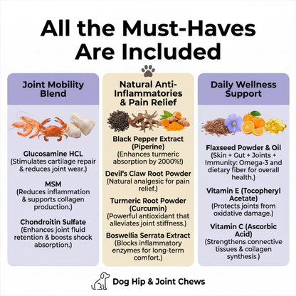 Hip & Joint Chews