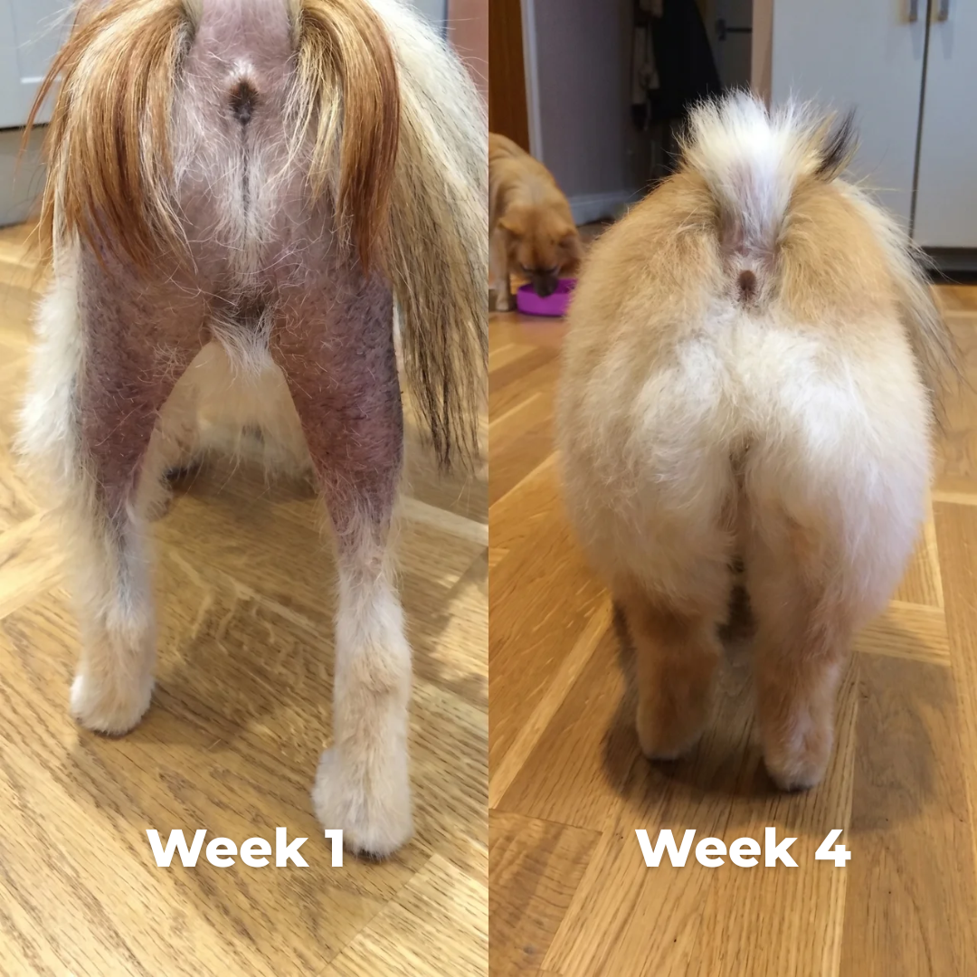 Pet Skin Care Spray