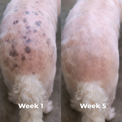 Pet Skin Care Spray