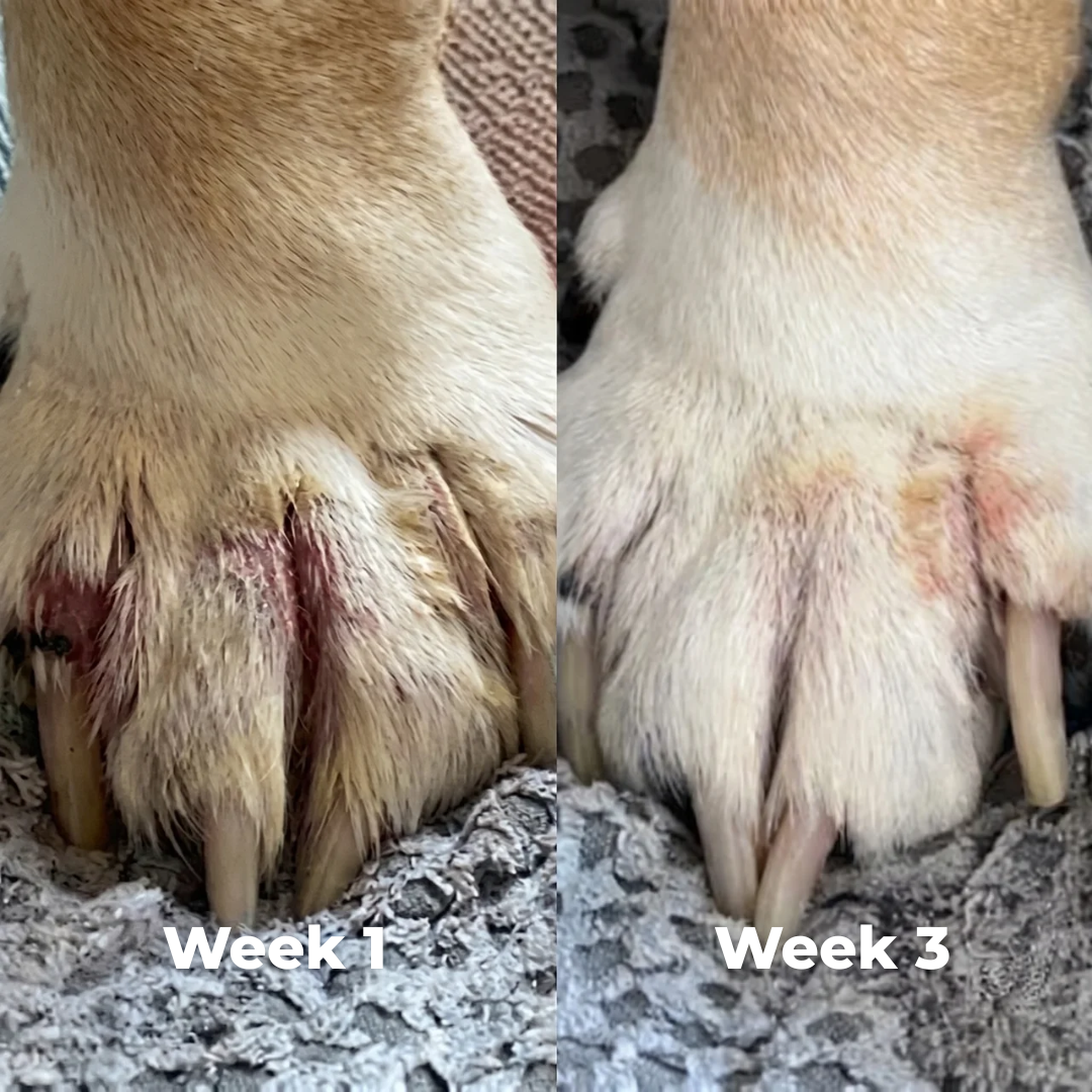 Pet Skin Care Spray