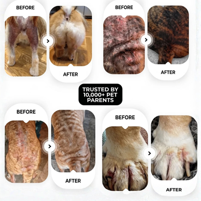 Pet Skin Care Spray