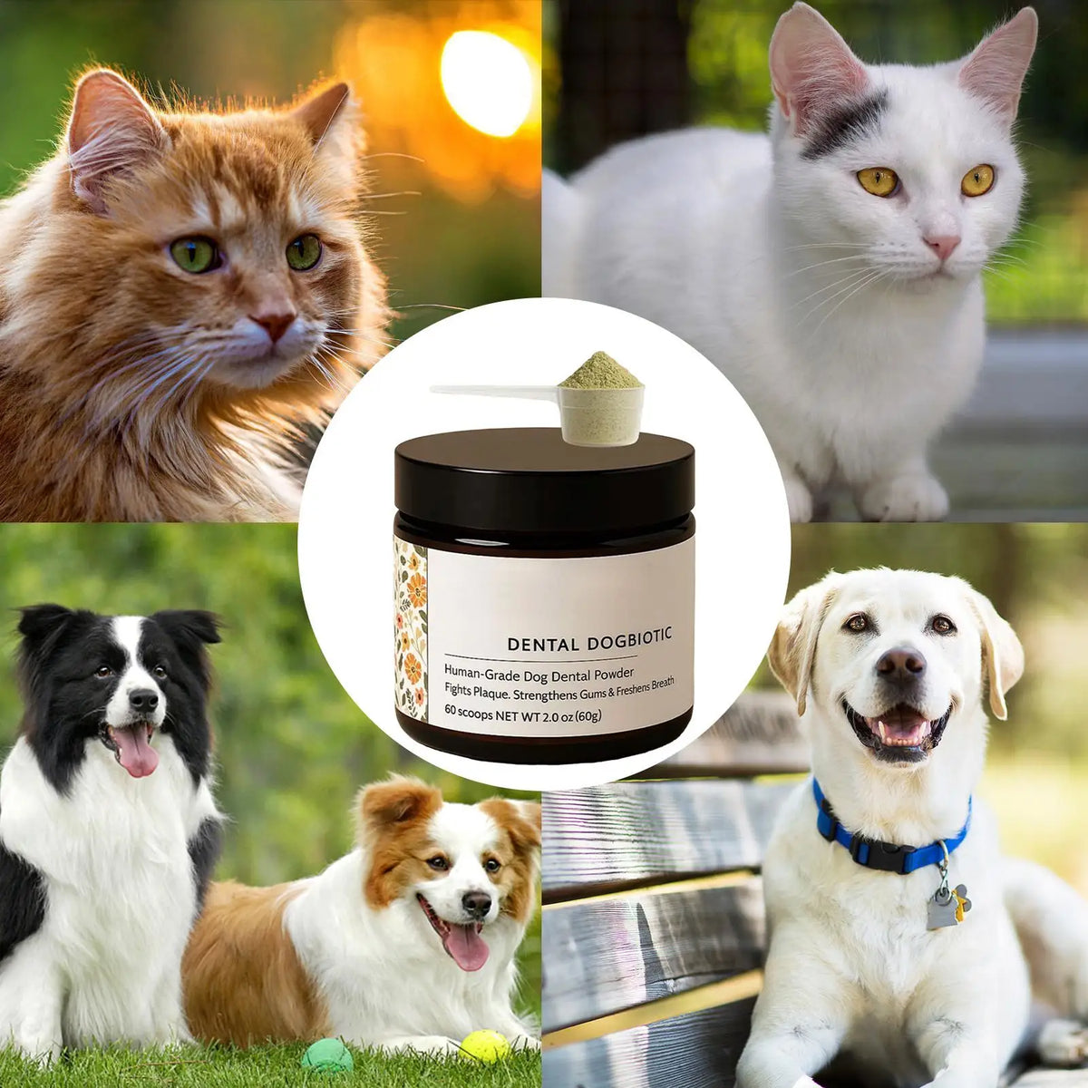 PawFresh™ – Dog Breath & Dental Support