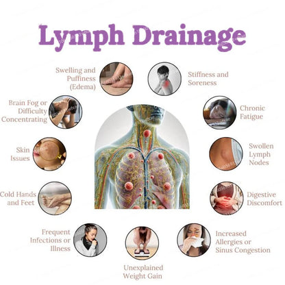Drainify™ 6-in-1 Lymphatic Complex