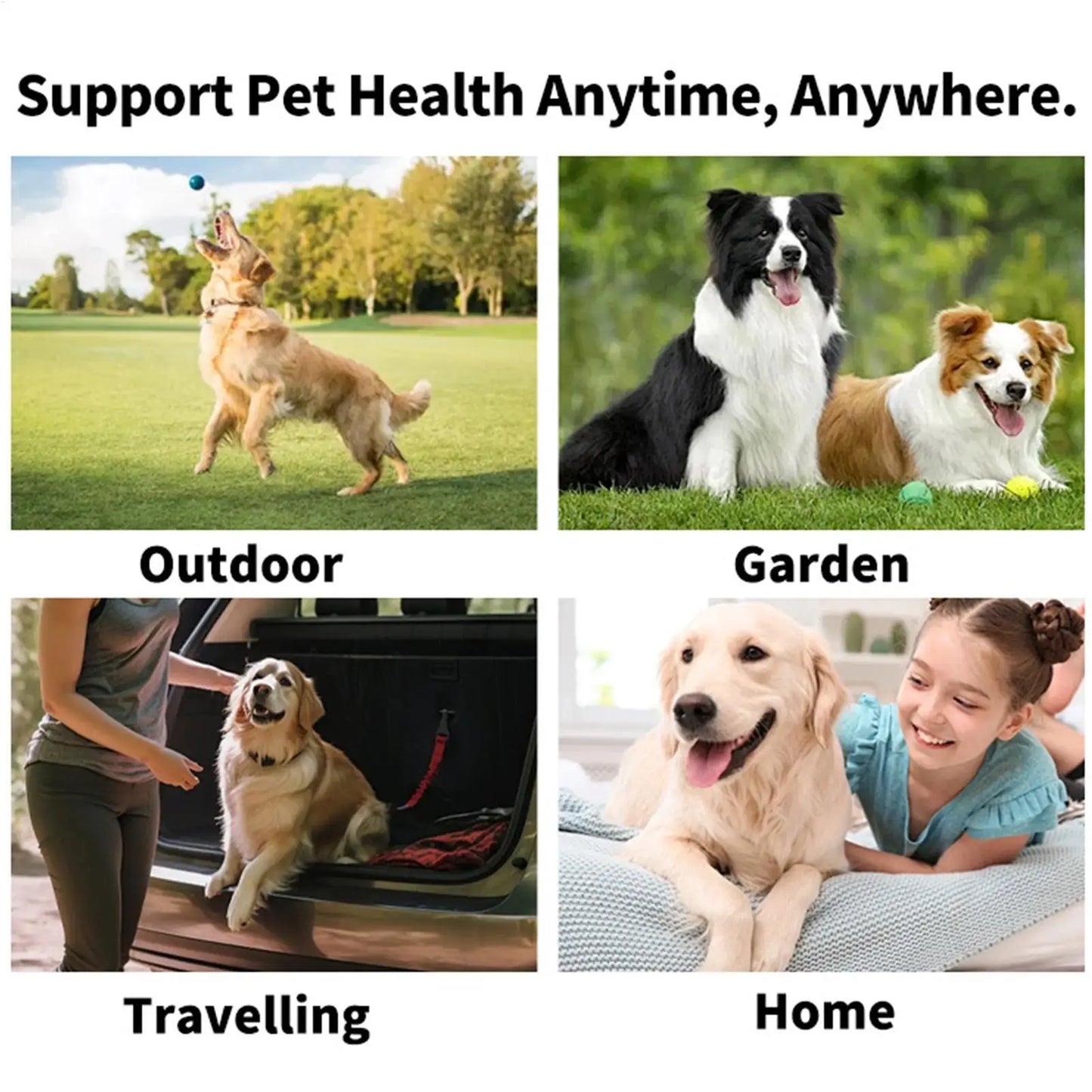 Pet Teeth Cleaning Wipes