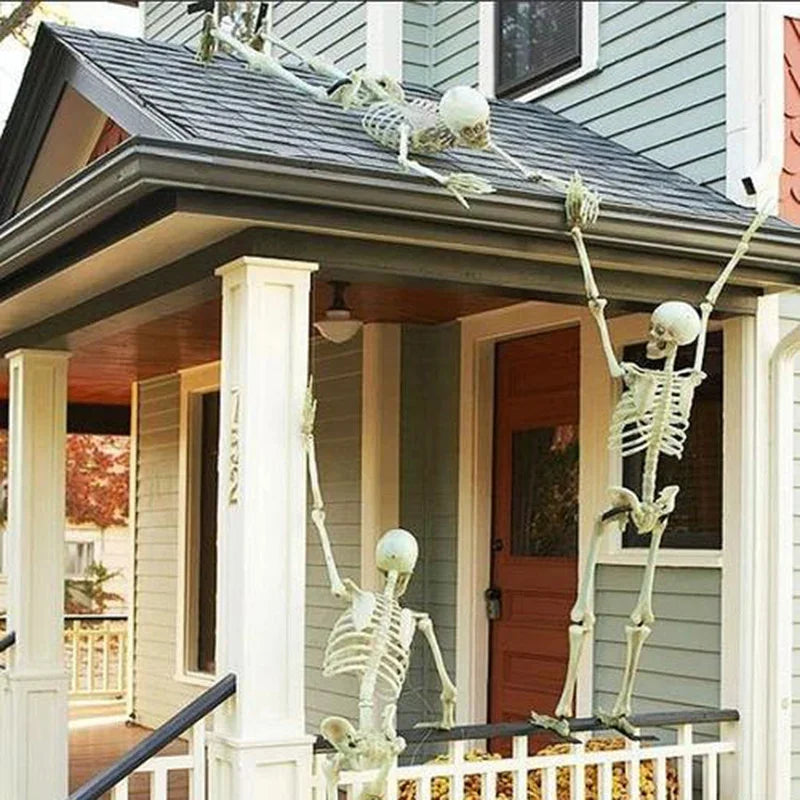 Halloween Skeleton