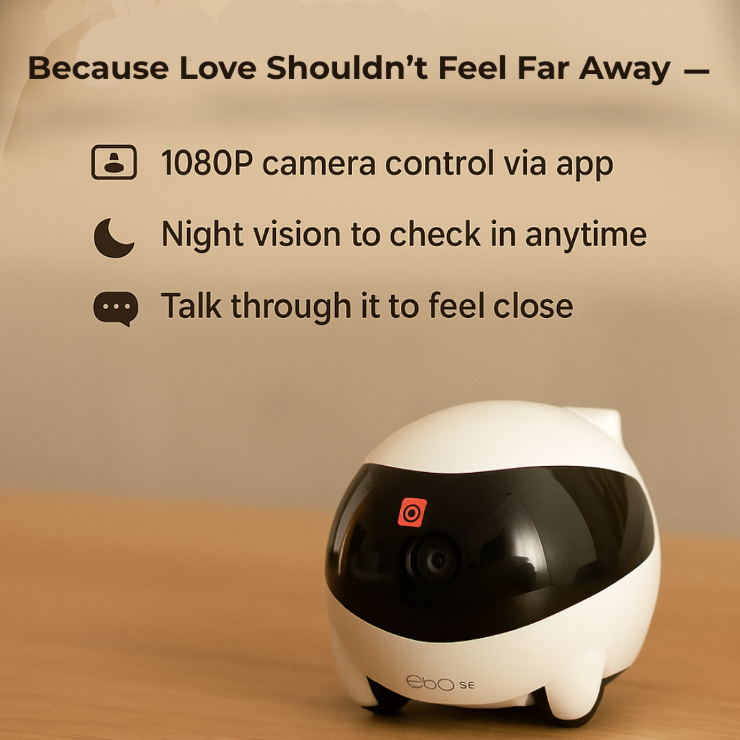 Ebo Love Robot