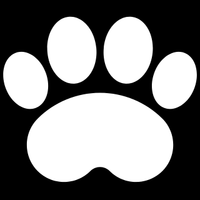 <strong>Home Without Pet Hair</strong>