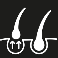 <strong>No More Hair Fall</strong>
