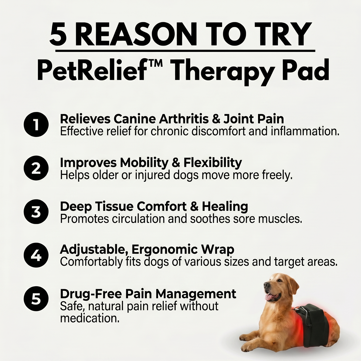 PetRelief™ Therapy Pad