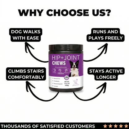 Hip & Joint Chews