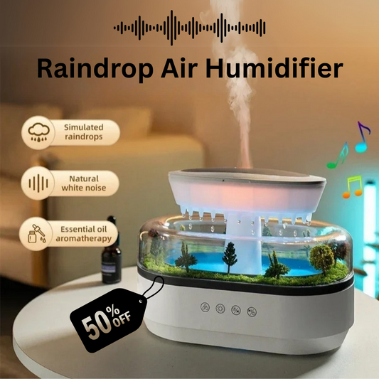 Raindrop Humidifier